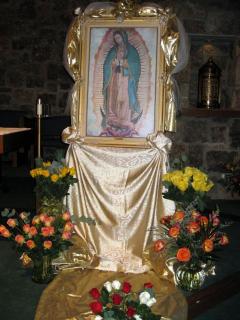 2009 Guadalupe